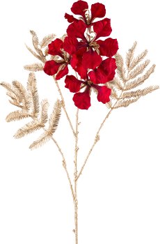 Delonix, 83cm, rot