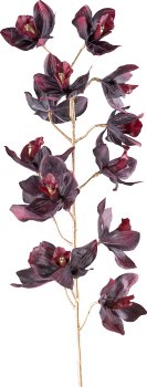 Cymbidie, 93cm, dark red