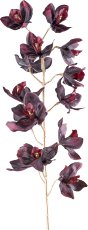 Cymbidie, 93cm, dark red