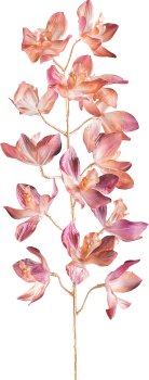 Cymbidie, 93cm, sandstone red