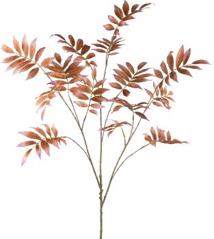 Sorbuszweig, 109cm, zimt