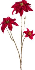 Poinsettie, 67cm, red