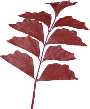 Caryota, 82cm, brick