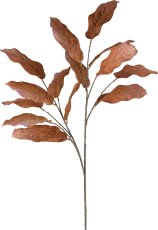 Magnolia leaf, 124cm, cinnamon