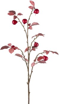 Pear, 120cm, ruby