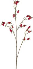 Hagebutte, 77cm, rot