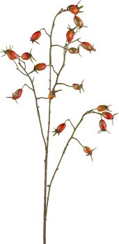 Rosehip, 77cm, orange