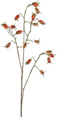 Hagebutte, 77cm, orange