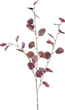 Eucalyptus, 93cm, dark pink