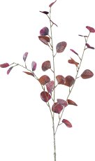 Eucalyptus, 93cm, dark pink