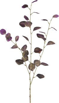 Eucalyptus, 93cm, amethyst