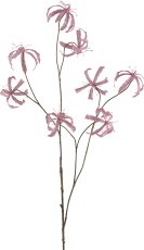 Gloriosa, 110cm, rosa