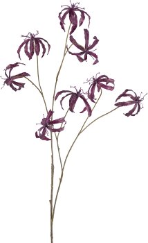 Gloriosa, 110cm, amethyst