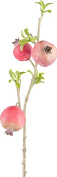 Granatapfel, 62cm, koralle