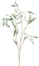 Eucalyptus, 86cm, grey