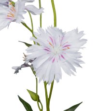 Campion, 66cm, light pink