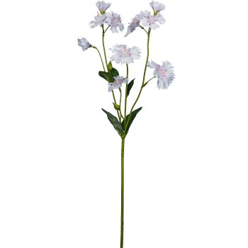 Campion, 66cm, light pink