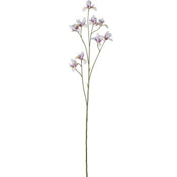 Mini iris, 105cm, light lilac
