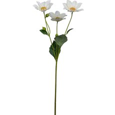 Dahlia, 67cm, white