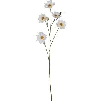 Dahlia, 107cm, white