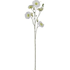Prunkwinde, 107cm, weiß