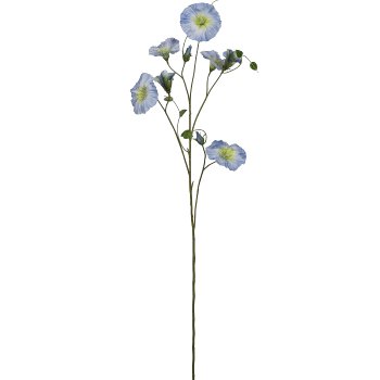 Prunkwinde, 107cm, hellblau