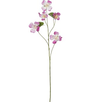 Bauhinia, 108cm, pink