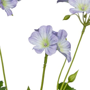 Geranienzweig, 69cm, helllila