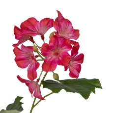 Geranium branch, 105cm, pink