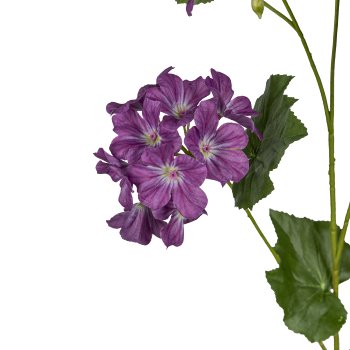 Geranienzweig, 105cm, lila