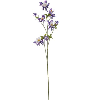 Akelei, 104cm, lila