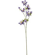 Akelei, 104cm, lila