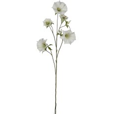 Datura, 113cm, weiß