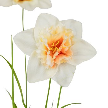 Narzisse mit Gras, 69cm, hellgelb