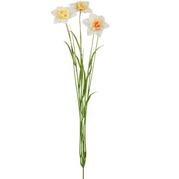 Narzisse mit Gras, 69cm, hellgelb