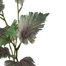 Coloured nettle branch, 74cm, pale pink