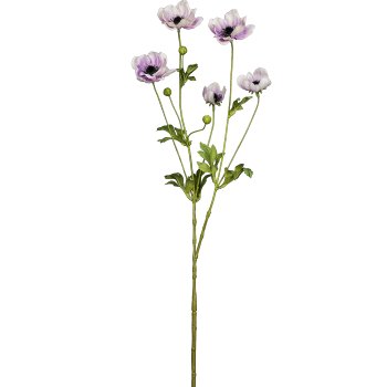 Anemone, 81cm, pale pink