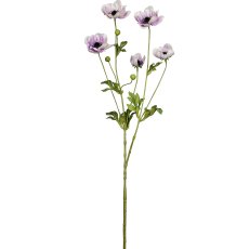 Anemone, 81cm, rosa