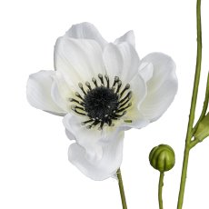 Anemone, 81cm, weiß