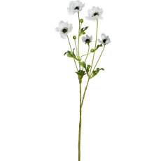 Anemone, 81cm, white