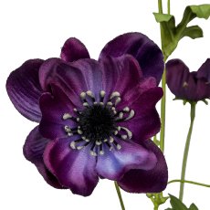 Anemone, 81cm, amethyst