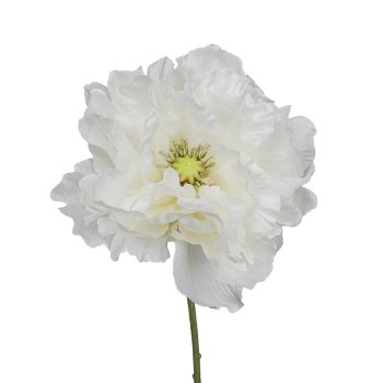 Poppy, 73cm, white