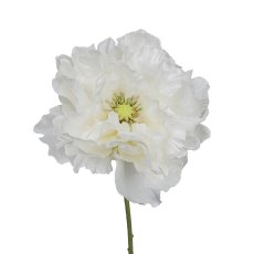 Poppy, 73cm, white