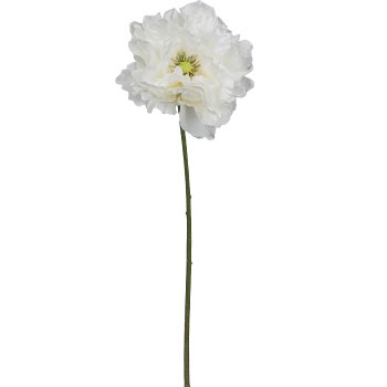 Poppy, 73cm, white