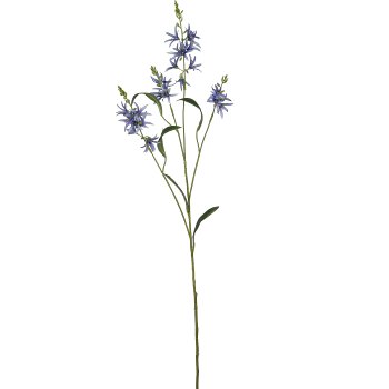 Prärielilie, 101cm, blau