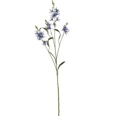 Prärielilie, 101cm, blau