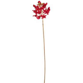 Dendrobie, 70cm, rot