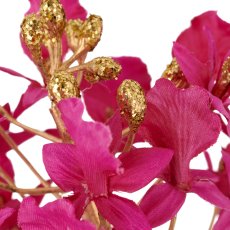 Dendrobie, 70cm, pink