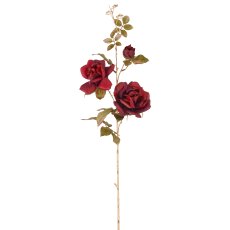 Rose, 85cm, dark red