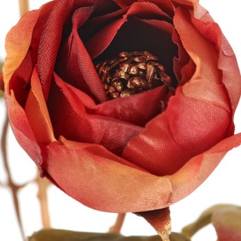 Rose, 85cm, amber